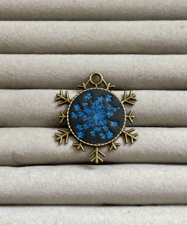 Blue Queen Annes