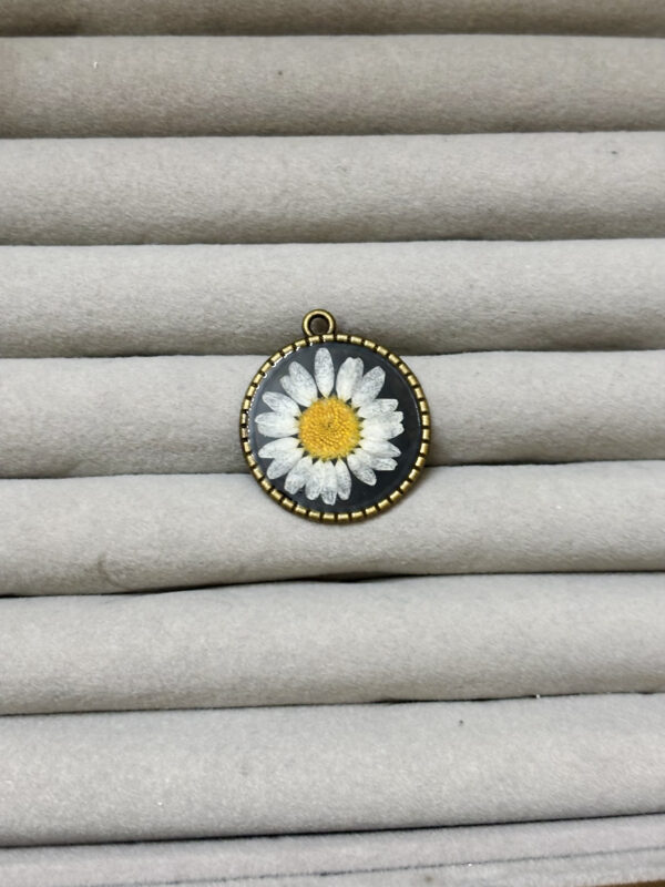 Daisy