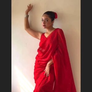 Red Chikankari Georgette Saree