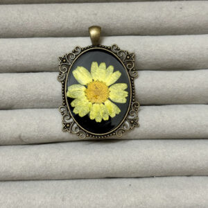 Yellow Daisy