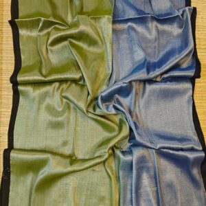 Earthy Ombre Raga Tissue Saree