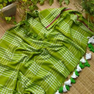 Aam Panna