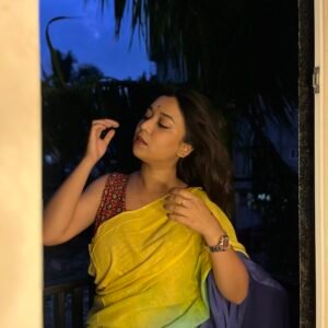 Aamchi Ombre Saree